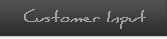 customer Input