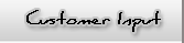 customer Input